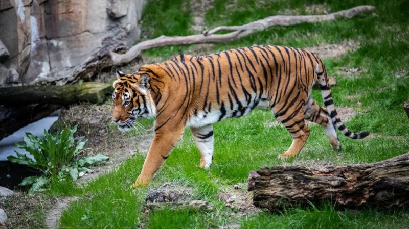 Abubshahar Wildlife Sanctuary, Sirsa, Haryana - Vushii.com